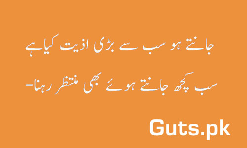 Log Badal Jaty Hein Poetry Whatsapp Status in Urdu