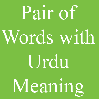 Pair of Words with Urdu Meaning