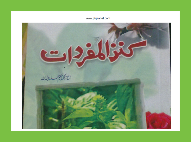 Kanzul Mufradat by Hakeem Muhammad Abdullah PDF