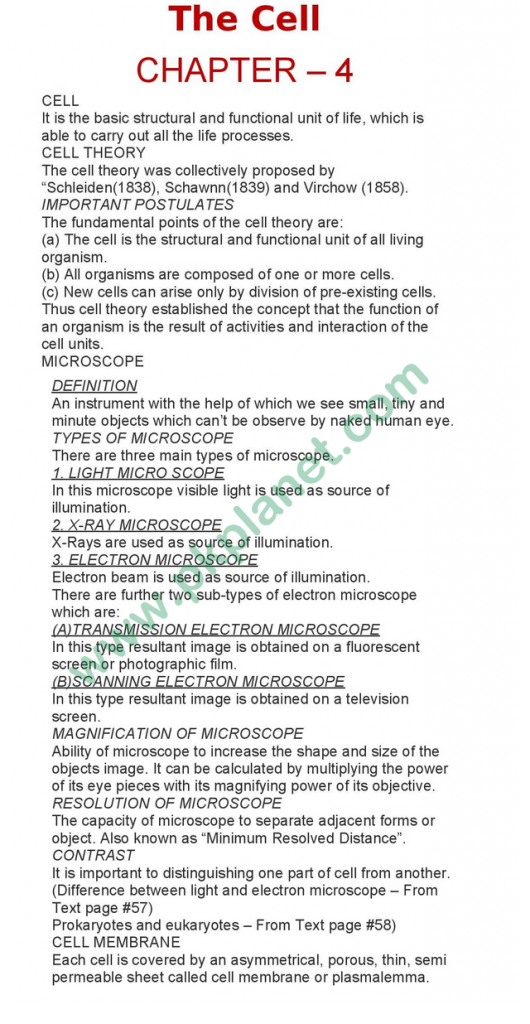 1st Year Biology Notes Chapter 4 The Cell Line Served