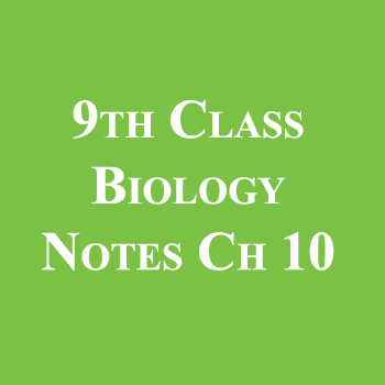 9th Class Biology Notes Chapter 10