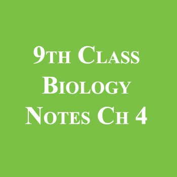 9th Class Biology Notes Chapter 4