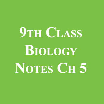 9th Class Biology Notes Chapter 5