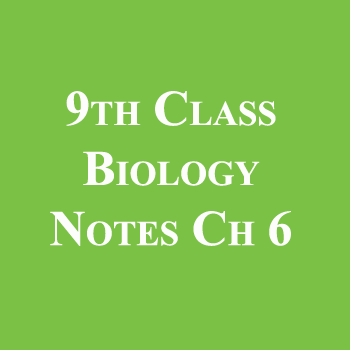 9th Class Biology Notes Chapter 6