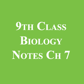 9th Class Biology Notes Chapter 7