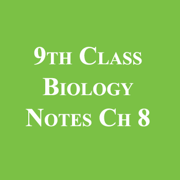 9th Class Biology Notes Chapter 8