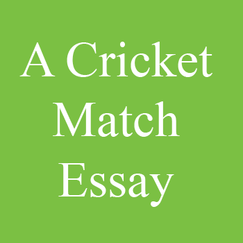 A Cricket Match Essay for 10th Class