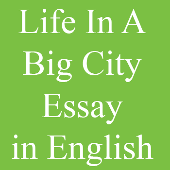 Life In A Big City Essay in simple English for 10th Class