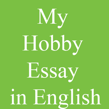 My Hobby Essay in English