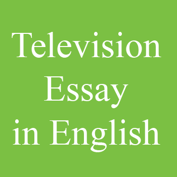 Television Essay in Simple English
